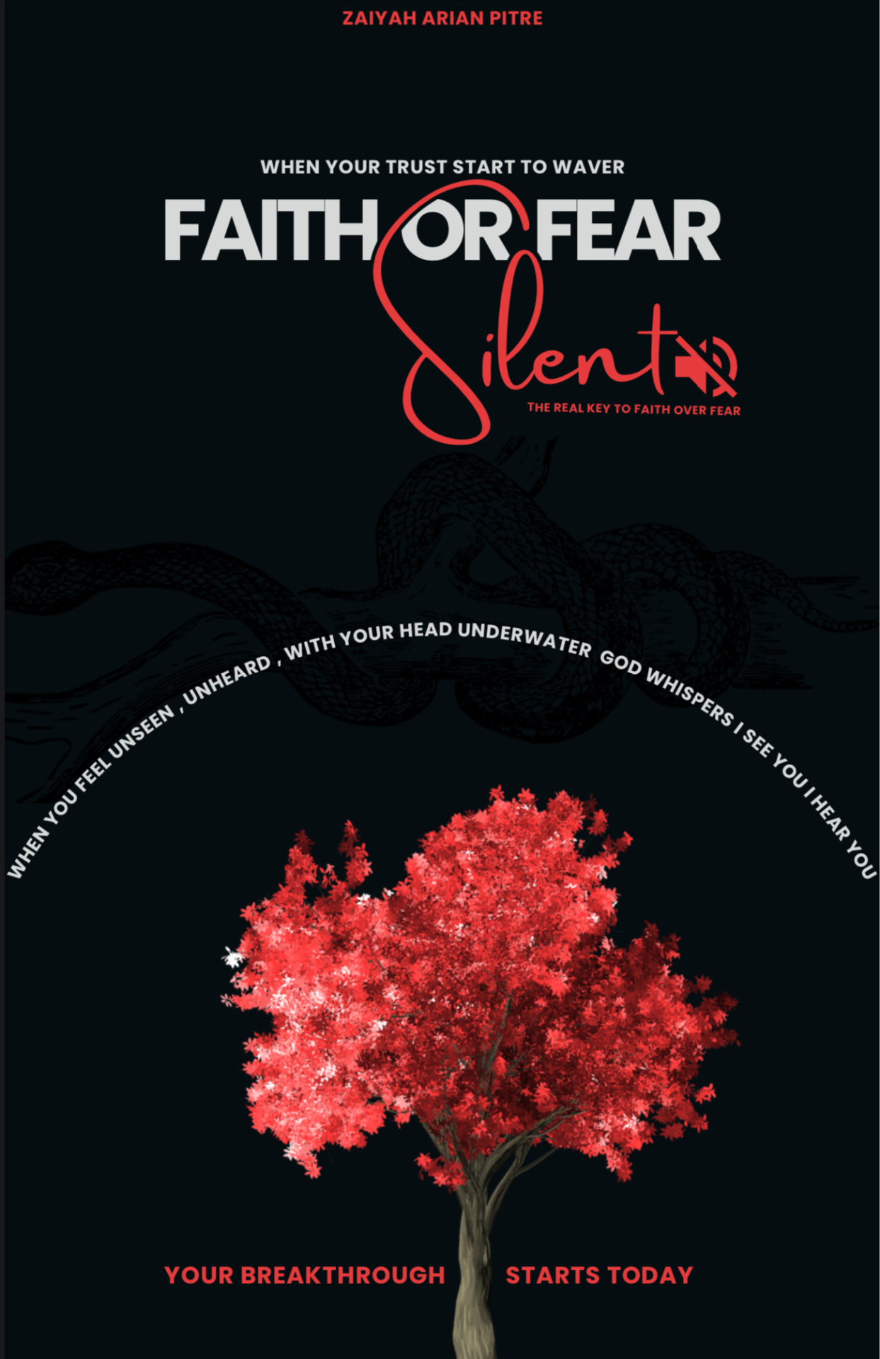 Audiobook: Faith Or Fear Silent cover