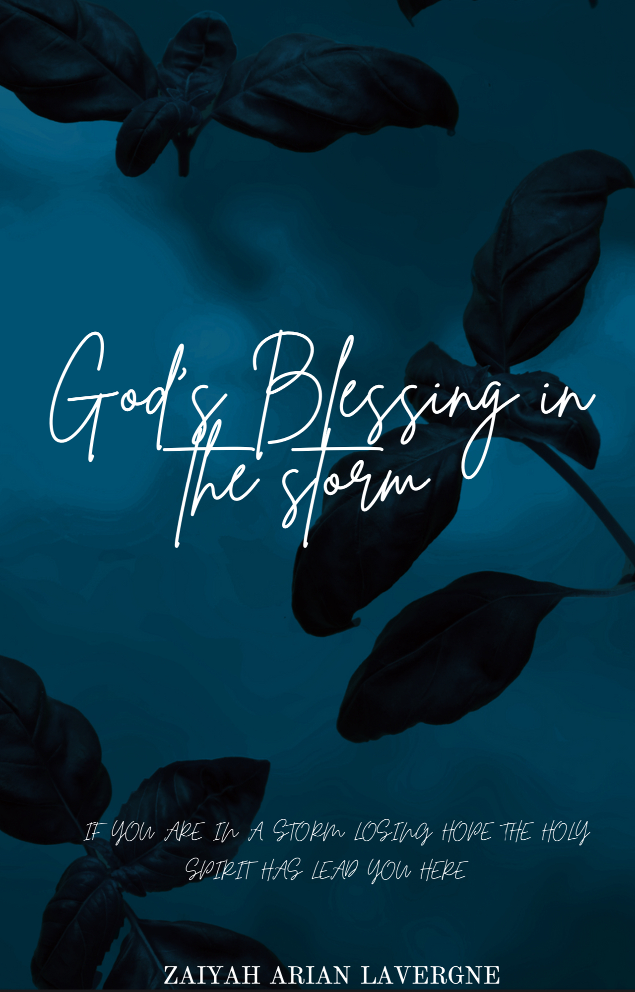 God’s Blessing In The Storm cover